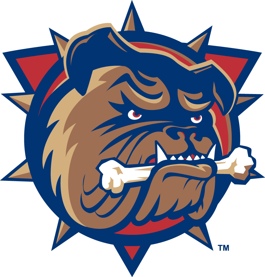 Hamilton Bulldogs 2015 16 Primary Logo iron on paper